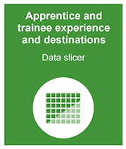 Apprentice and trainee experience and destinations data slicer